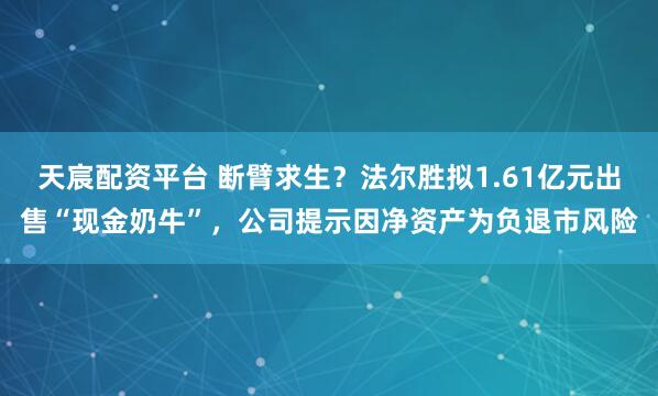 天宸配资平台 断臂求生？法尔胜拟1.61亿元出售“现金奶牛”，公司提示因净资产为负退市风险