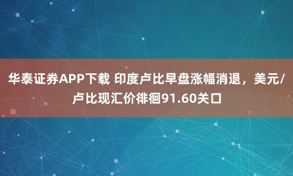 华泰证券APP下载 印度卢比早盘涨幅消退，美元/卢比现汇价徘徊91.60关口
