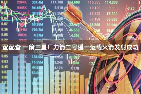 配配查 一箭三星！力箭二号遥一运载火箭发射成功